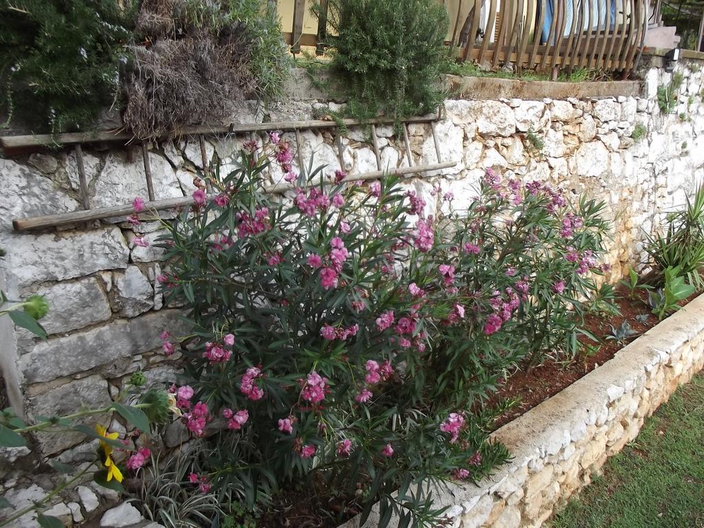 Apartments Vinetilia Mošćenička Draga المظهر الخارجي الصورة